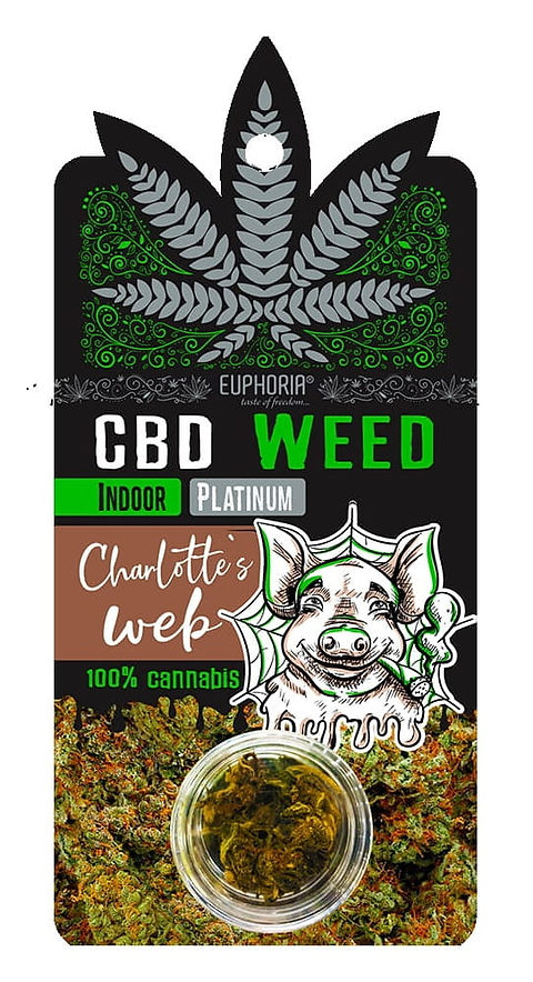 CBD Weed Greedy Pig