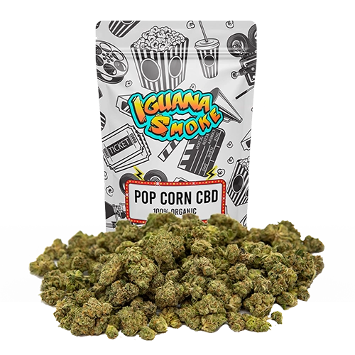 Palomitas de maíz agrias Tsunami CBD 10g