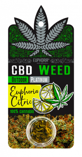 [54061] CBD Weed Euphoria Citric